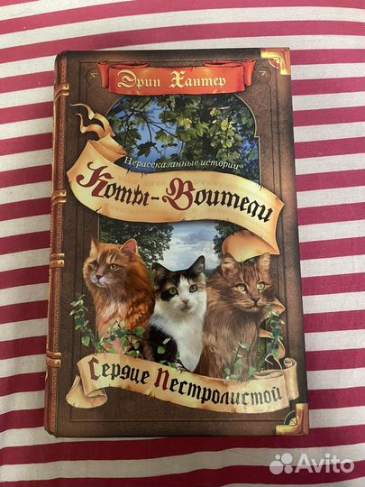 Коты воители