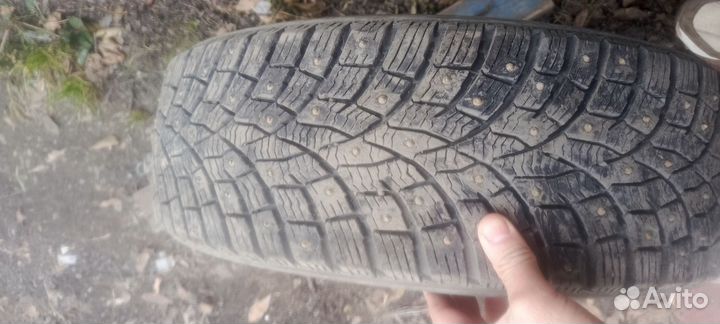 Triangle IcelynX TI501 205/65 R16