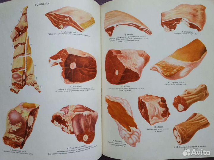 Энциклопедия домашнего хозяйства СССР 1969 год