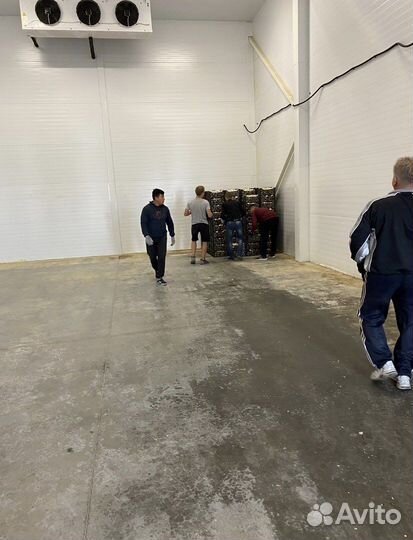 Грузчики на час/Разнорабочие