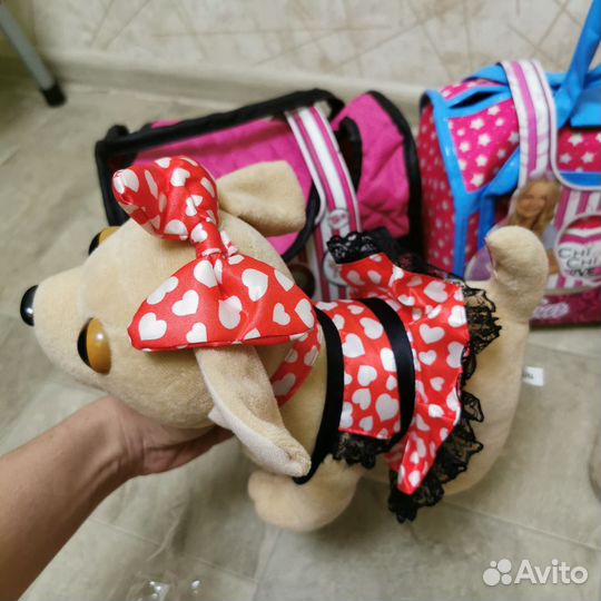 Новые собачки chi chi love чи чи лав
