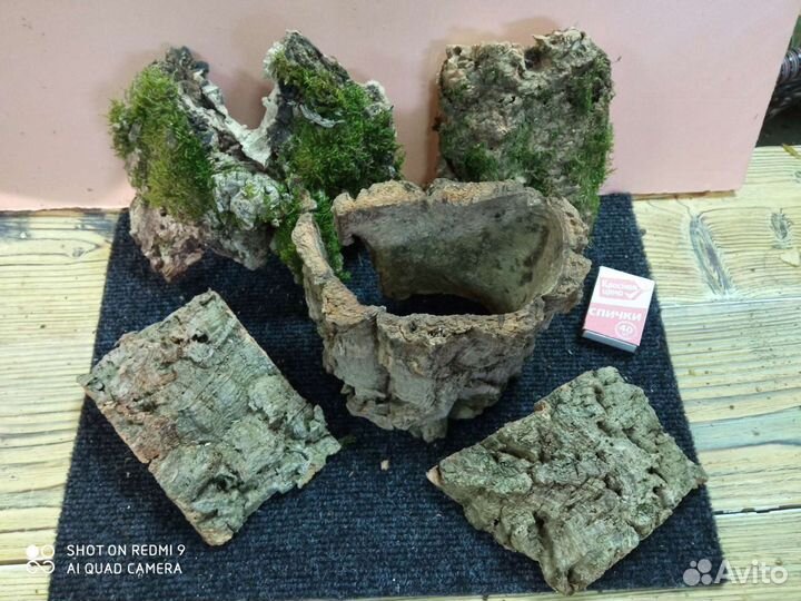 Кора пробкового дуба