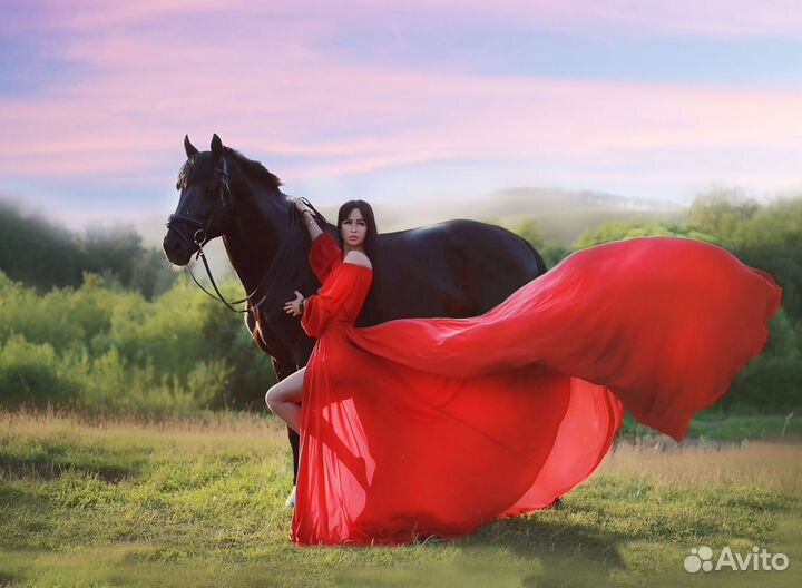 Фотосессии в Красноярске