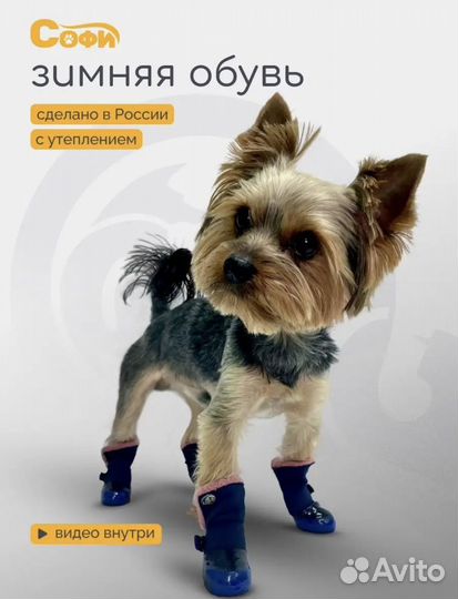 Обувь зимняя для маленькой собачки