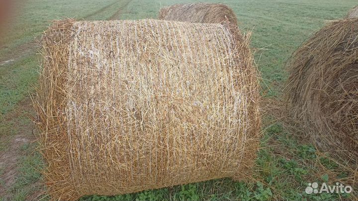 Сено в рулонах