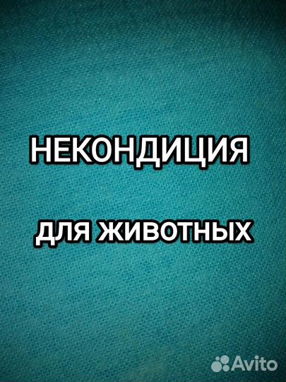 Некондиция на корм животным