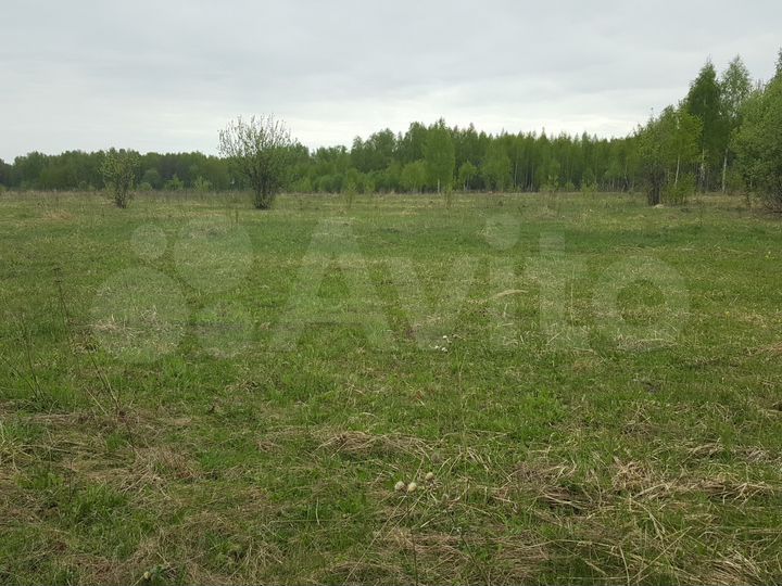 Участок 45 га (СНТ, ДНП)
