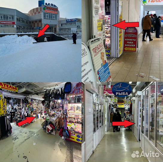 Молоки лососевых