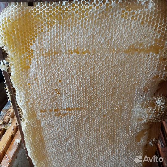 Продаётся мёд без примесей. Можно использовать для