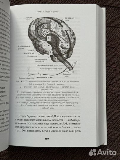 Вячеслав Дубынин 