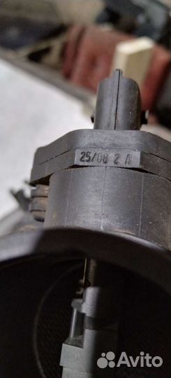 Дмрв Вортекс Эстина, Черри фора