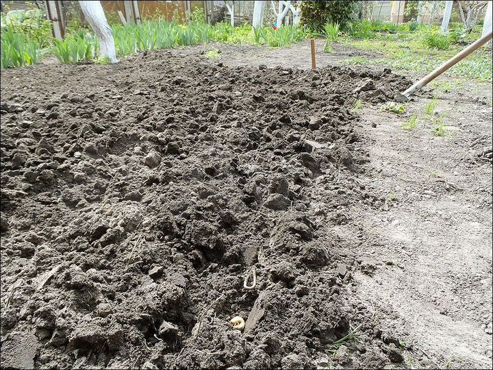 Участок 9,5 сот. (СНТ, ДНП)