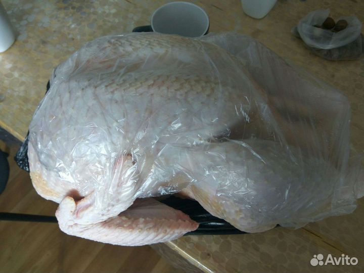 Индейка