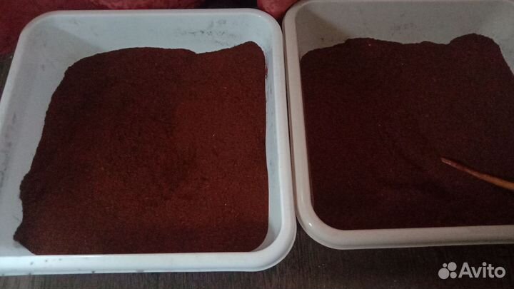 Чага березовая