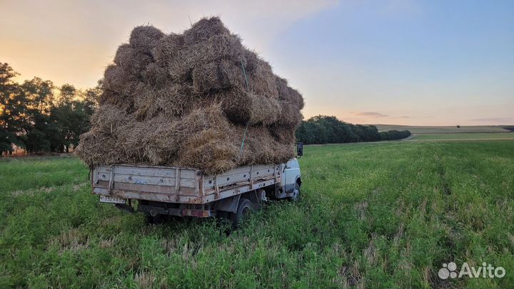 Солома в тюках с доставкой