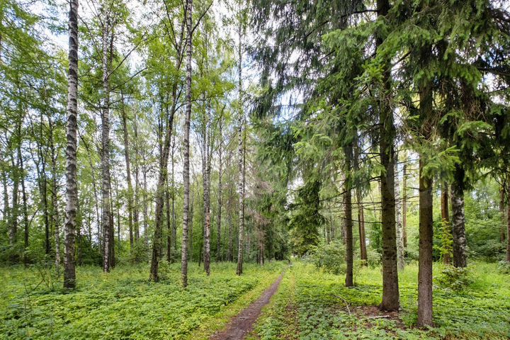 Участок 2,9 га (промназначения)