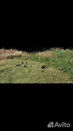 Спил деревьев