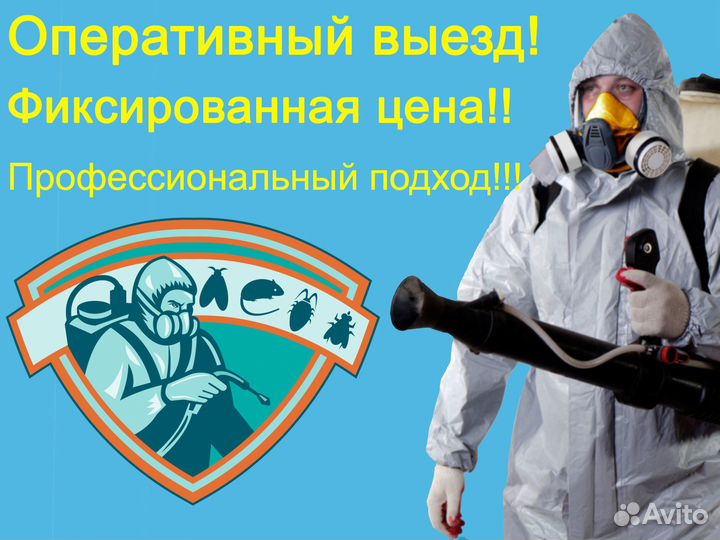 Уничтожение клопов, травить тараканов, клещей. Сэс