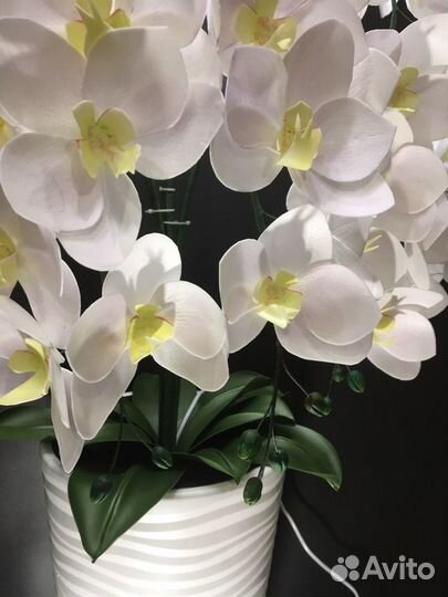 Орхидея