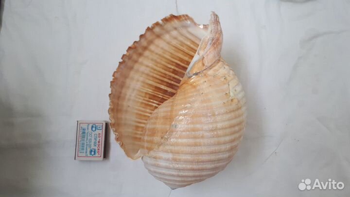 Декорации для аквариума