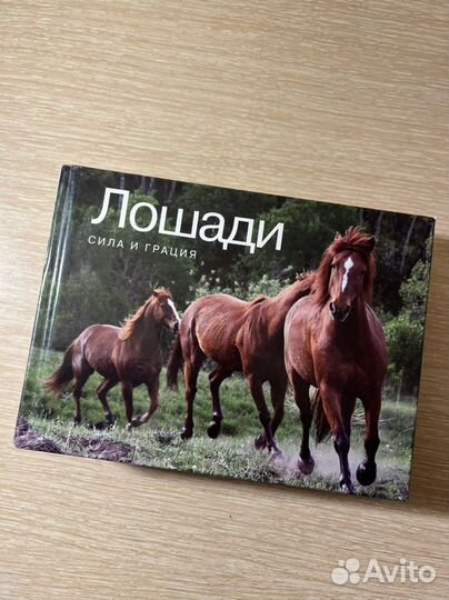 Книга. Журнал. Лошади
