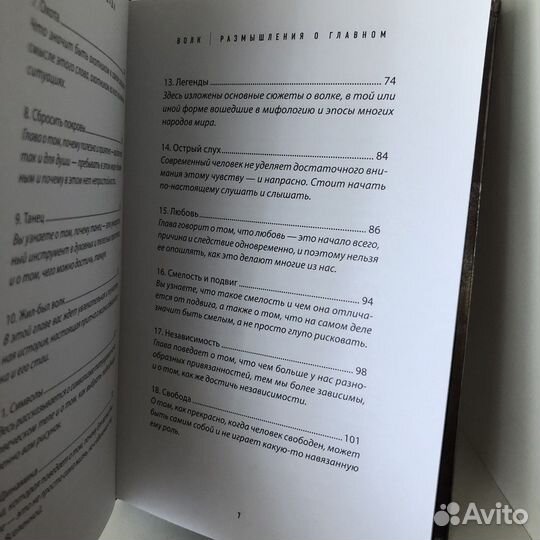 Свами Даши, Волк, размышления о главном