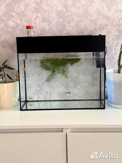 Аквариум