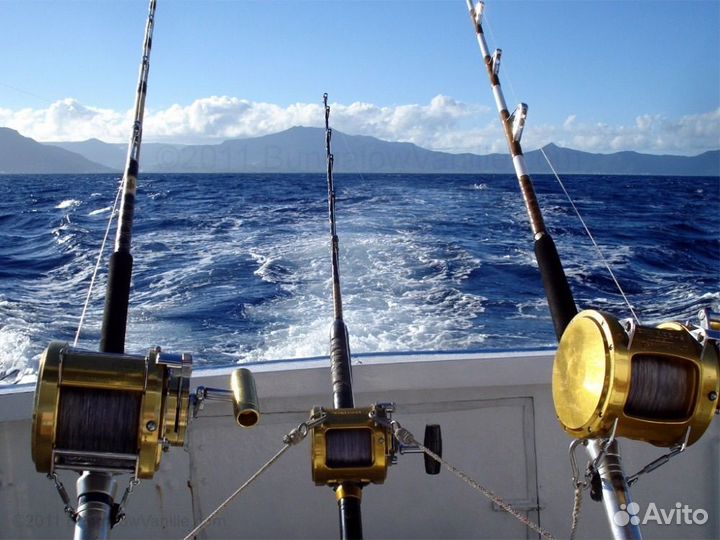 Морская рыбалка, прогулки на яхте/катере