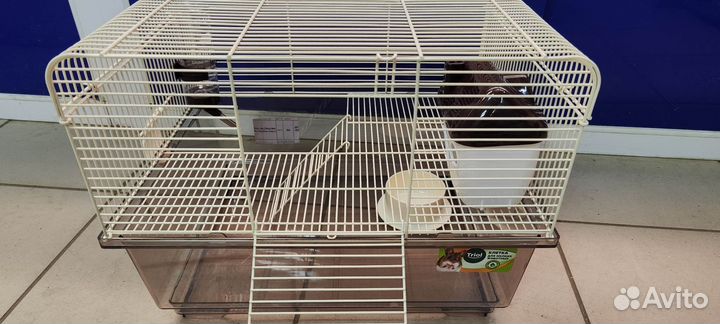 Крыса с клеткой