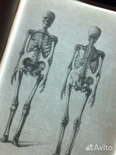 Светодиодный графический планшет А4 для рисования