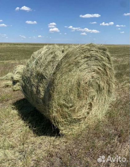Сено с доставкой
