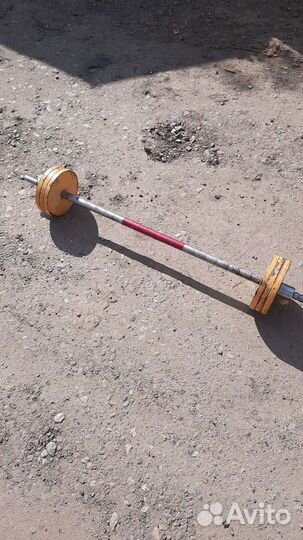 Штанга с блинами