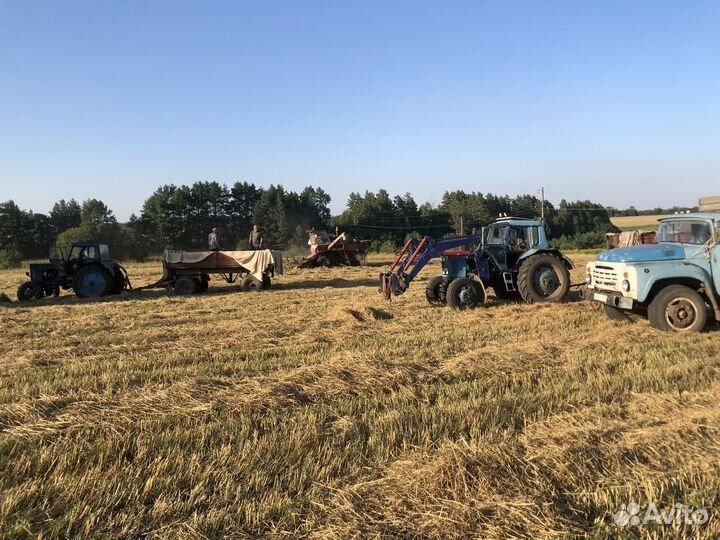 Зерно в мешках