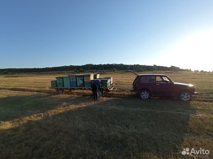 Прицеп легковой 5 метров