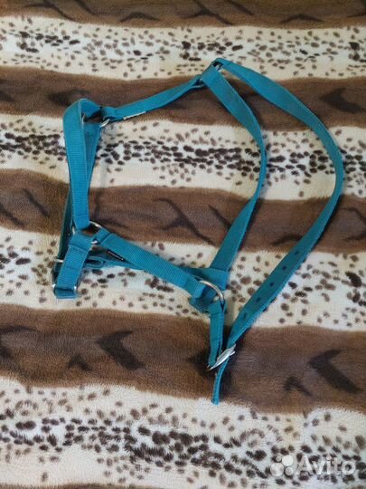 Недоуздок для лошади