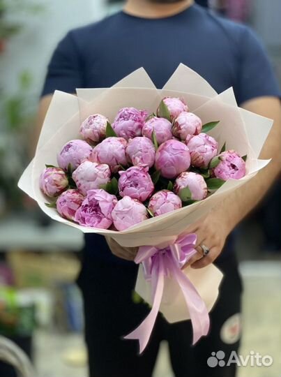 Премиальные пионы голландия