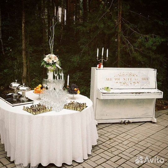 Аренда: столы, стулья, посуда,шатры- Краснодар