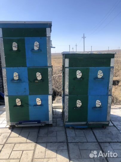 Продам ульи для пчел