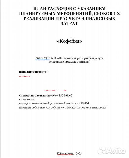 Бизнес план для соцконтракта