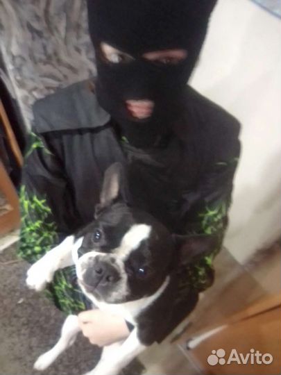 Джерси D I C O M R A Z