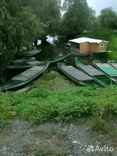 Рыбалка и Охота в дельте Волги в с Тишково