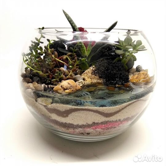 Флорариумы и композиции