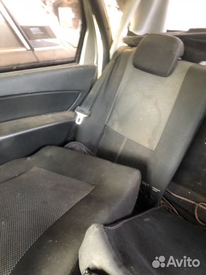 Сидельники на гранту калину