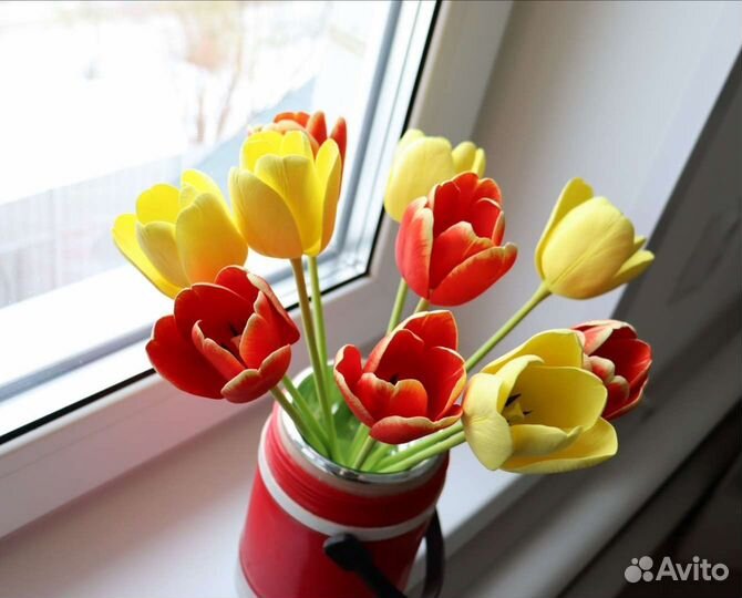 Вайнер тюльпан, анемон