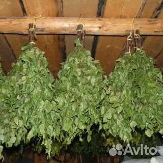 Березовые веники