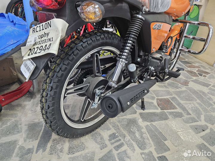 Рейсер альфа