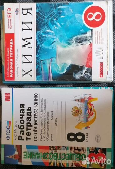 Рабочие тетради по химии и обществознанию