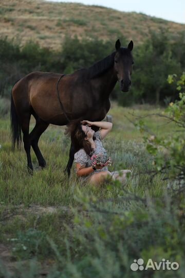 Фотосессия верхом на лошади