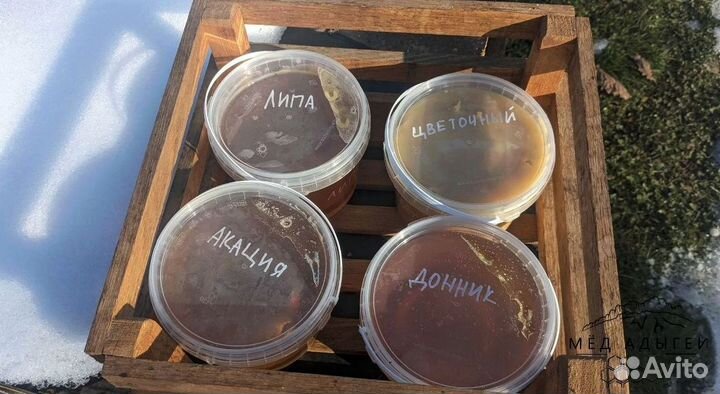 Мед натуральный. Свой мед