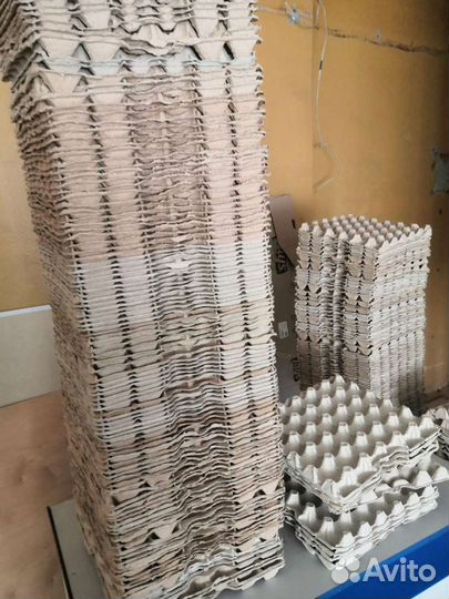 Ячейки для яиц